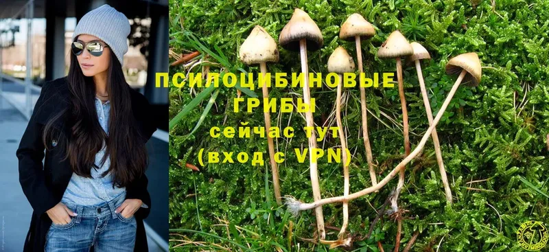 даркнет сайт  Мирный  Псилоцибиновые грибы Psilocybine cubensis 